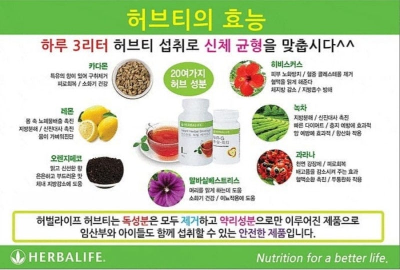 향기좋은 유기농 페퍼민트차 다정헌 유기농 허브차와 함께하는 가을