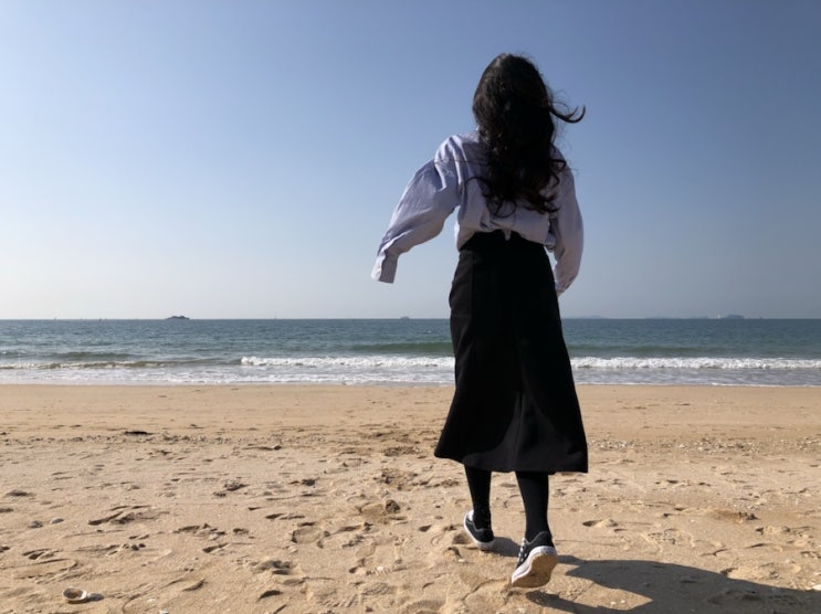  [충남/대천] 대천해수욕장:: 대천 여행코스 추천(조개구이/카트/짚트랙/개화예술공원/리리스카페)
