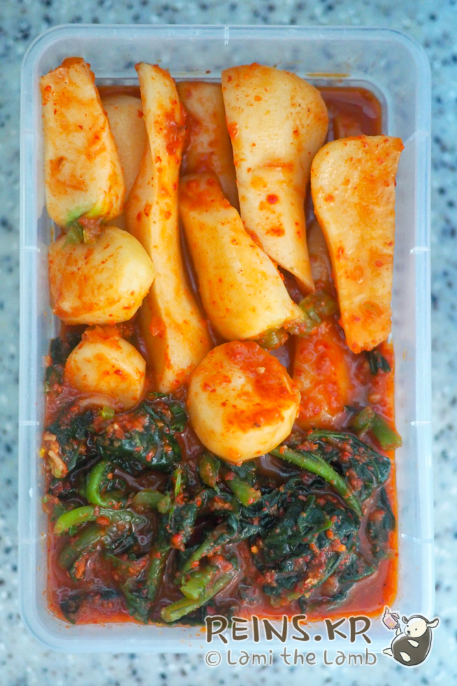  입맛없을 때 맛있는 총각김치와 간편 닭죽 (feat. 인생김치 추천!)