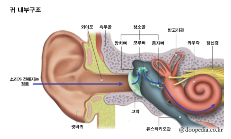  프리다이빙 압력 평형 종류와 실행 방법