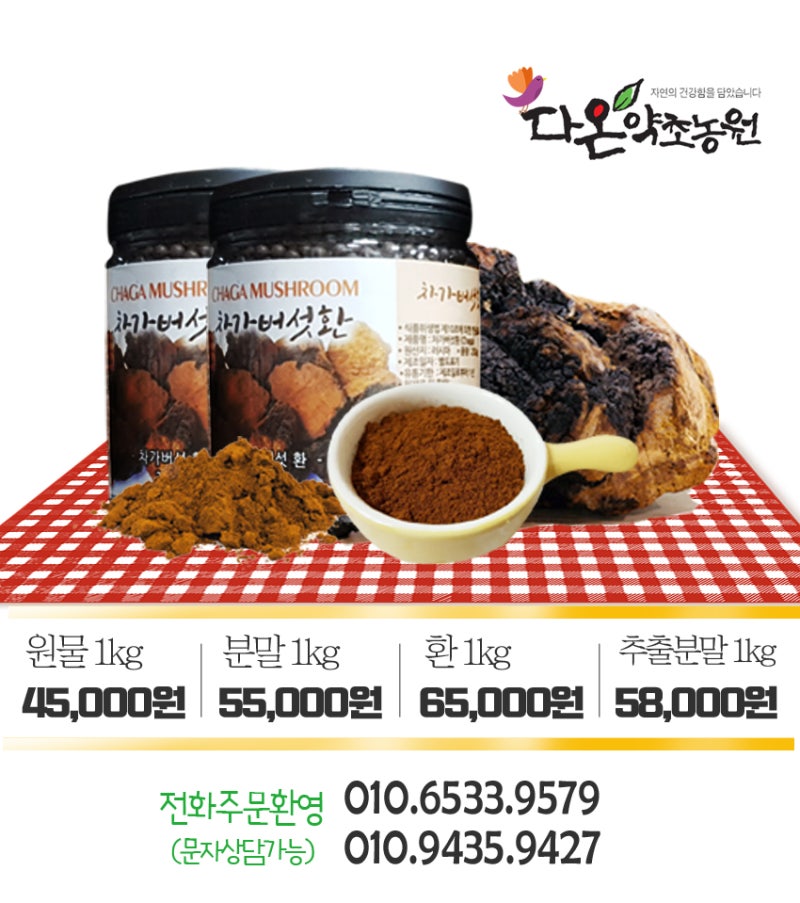 차가버섯추출물 알약추출분말차 먹는법 알아보기 22