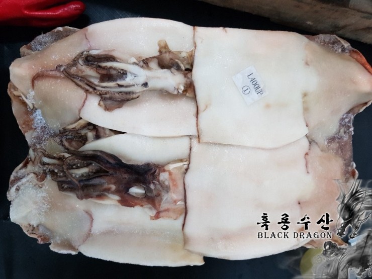  【 판 매 】 중국산 할복오징어 (북양오징어 _ 탈피, 눈, 입, 중뼈제거) _ Feat. 흑룡수산