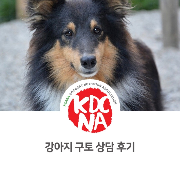  [반려동물 영양 상담 카운셀링] 한국반려동물영양협회 박은정 펫영양사 : 강아지 구토와 음식 관리_04