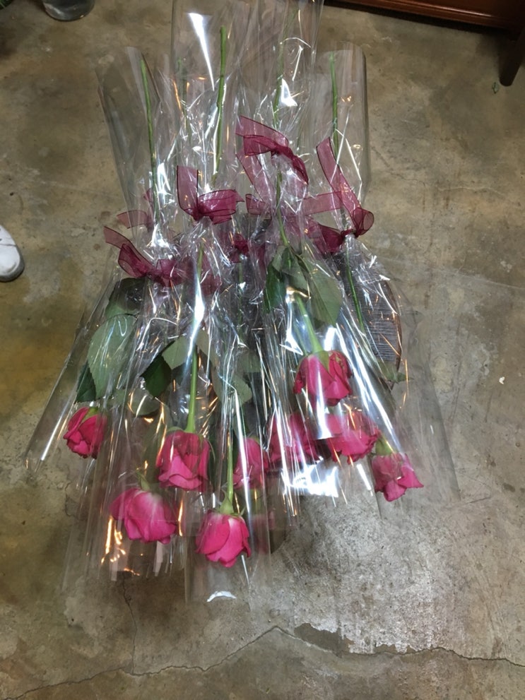 [부산 대신동 꽃집 빌데플레르] - 졸업식 축하 한송이꽃