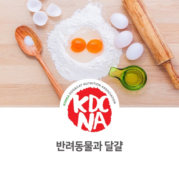  [강아지 고양이 음식 정보] 반려동물 달걀에 대해 알아보자_137