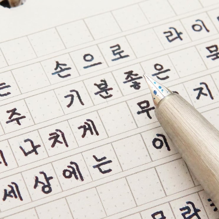  완벽한 느낌 (라미 2000 마크롤론 ef닙)