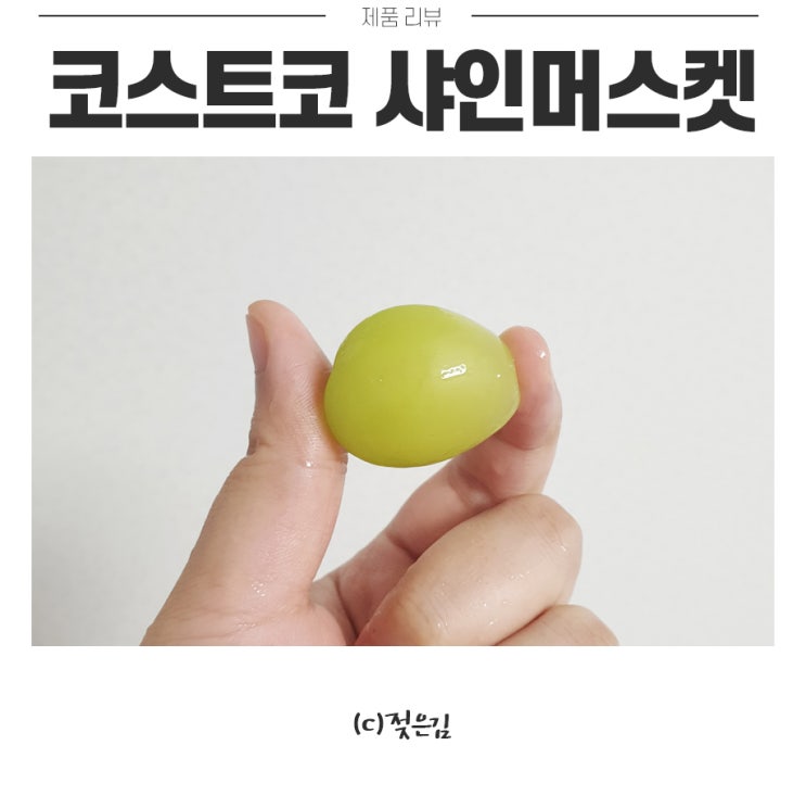 코스트코 샤인머스켓 가격 맛 등등! 코스트코 샤인머스켓 가격 맛 등등!