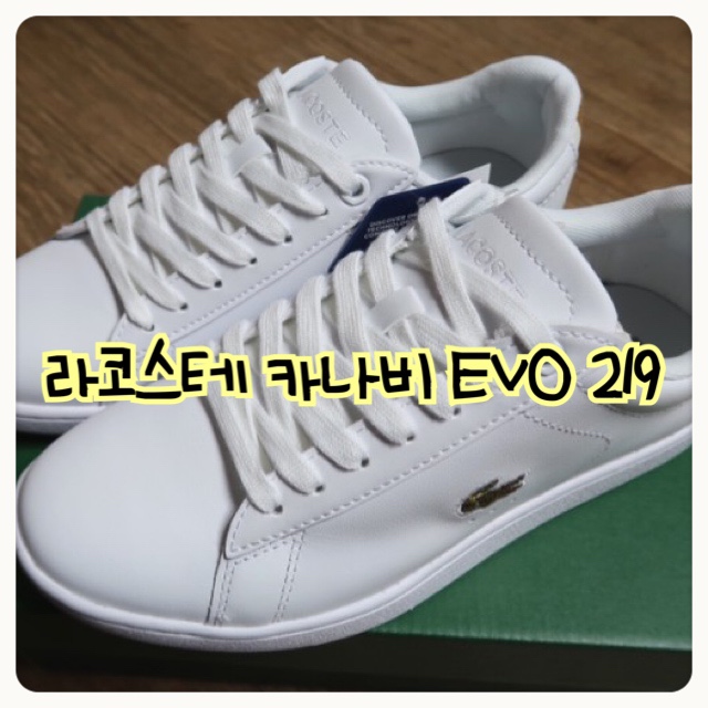  라코스테 카나비 EVO 219 / 카나비 에보 219 화이트골드 후기 / 발 편한 스니커즈 / 여자 신발 추천
