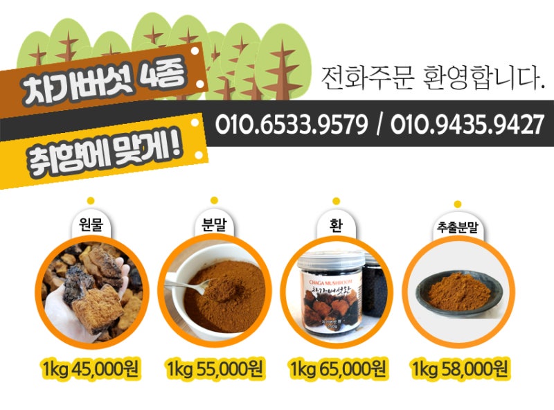 차가버섯추출물 알약추출분말차 먹는법 알아보기 19