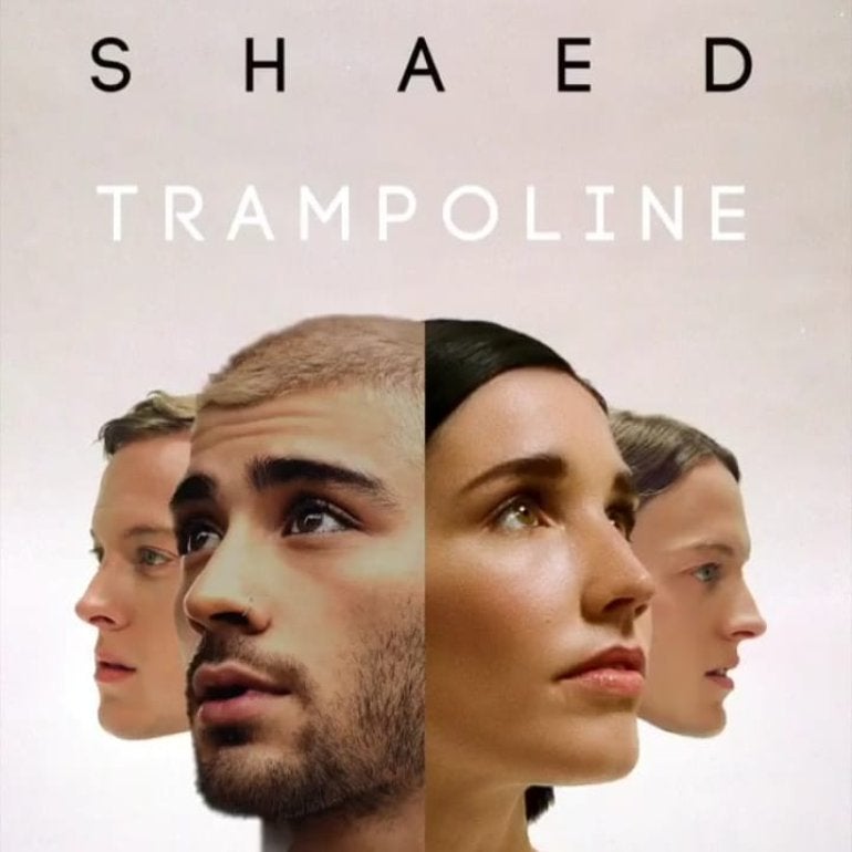 SHAED & ZAYN - Trampoline : 블로그