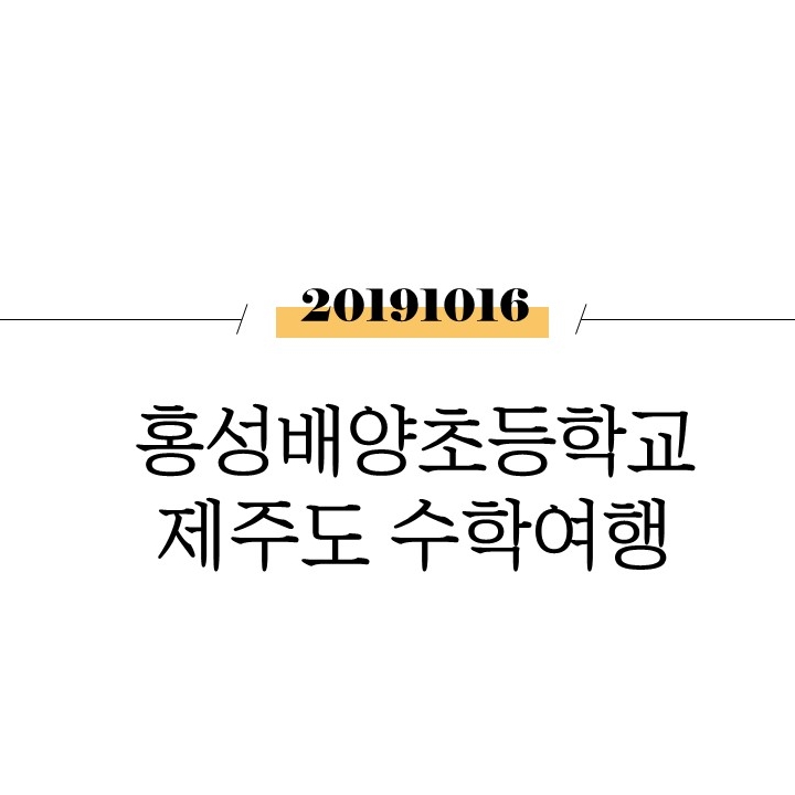  홍성배양초등학교 제주도 수학여행 [제주도]