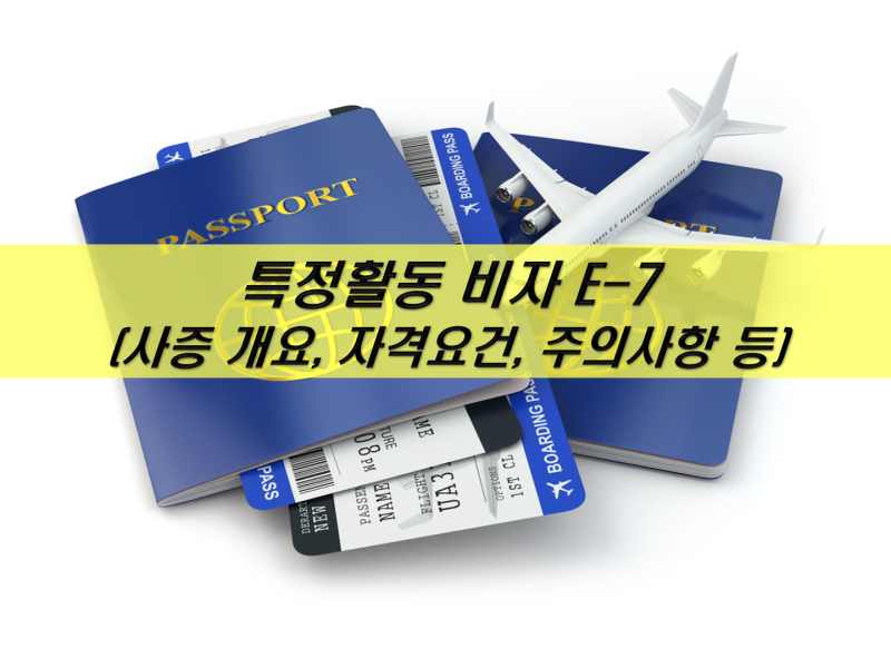 E-7(특정활동)비자 허가를 위한 자격요건 6
