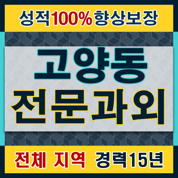  고양동 삼송역 토익과외 푸른마을 강매동 영어회화 고양현대 도내동 일본어 중국어수업 방문과외 쌤