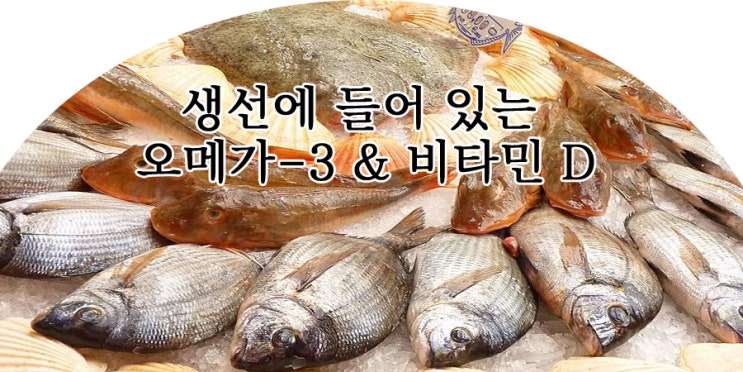  생선에 들어 있는 오메가-3 & 비타민D의 효과