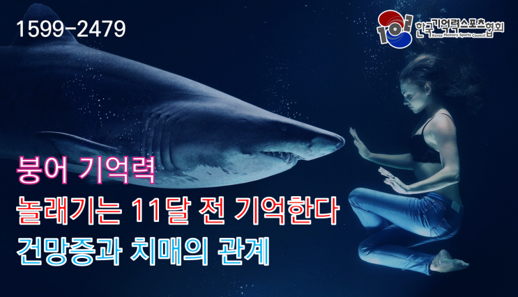  [한겨레]붕어 기억력? 놀래기는 11달 전 기억한다