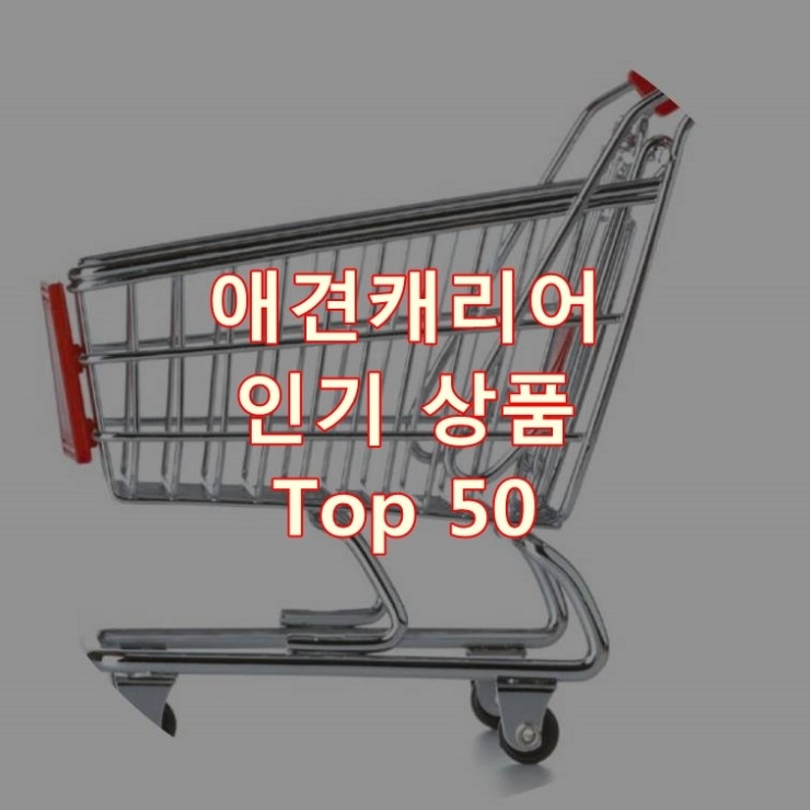  가장 잘 팔리는 애견캐리어 추천 상품 Best 50