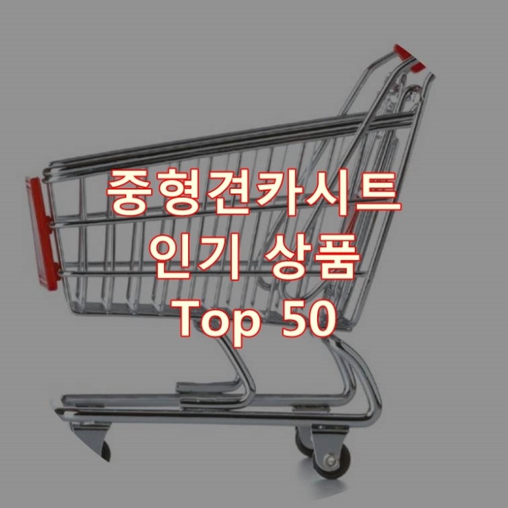  가장 잘 팔리는 중형견카시트 추천 상품 Best 50