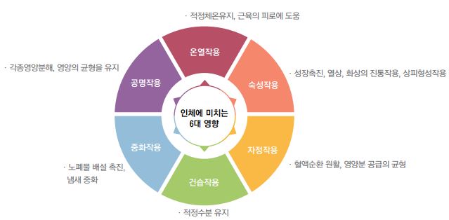 블루미 - 샤프에너지테크(주) 원적외선 난방