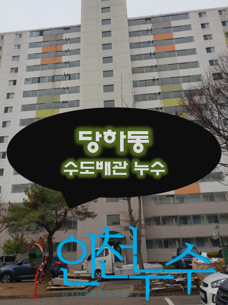  당하동 누수탐지 아파트인데 아래층 여기저기에서 물이 샙니다. 빨리 누수를 잡아주세요.