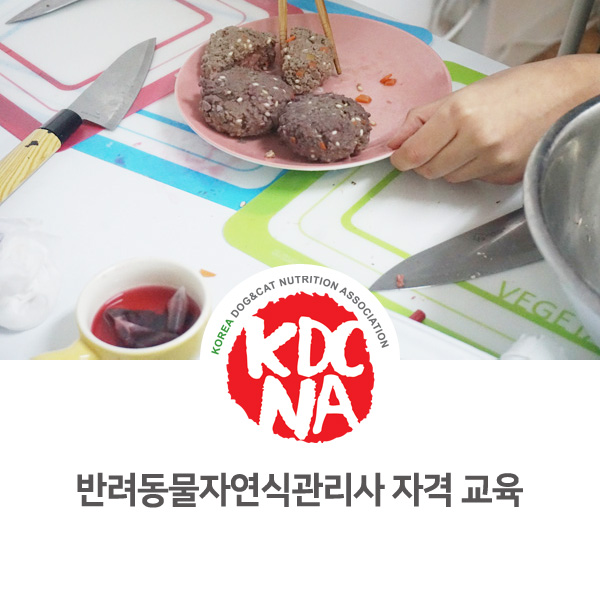  [반려동물 영양 전문가 양성 교육] 자연식관리사 펫푸드 자격증 취득하기_96