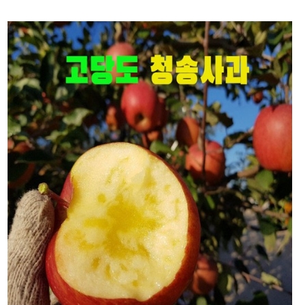  (착한가격) 부사사과   판매순위 best20
