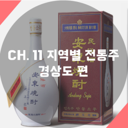  [술담화] CH.11 지역별 전통주 - 경상도 편