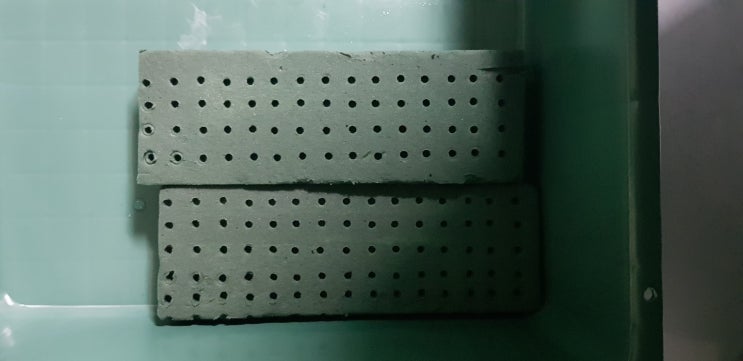  동애등에 산란유도 배지