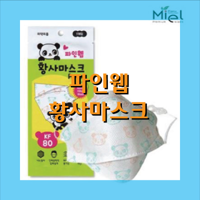  소형마스크 파인웹 황사마스크 KF80 10매