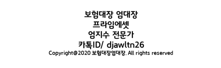  보험대장 엄대장-엄지수 전문가 SNS
