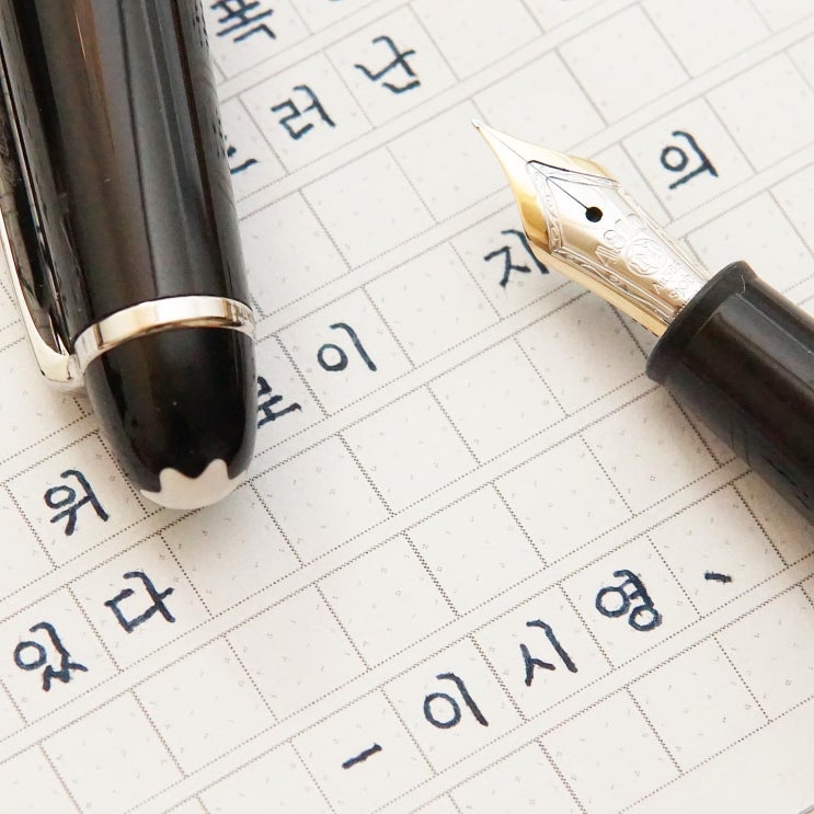  그건 사기래요 (몽블랑 마이스터스튁 145 ef닙)