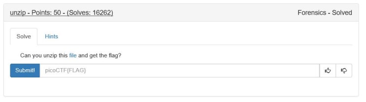  [PICO CTF 2019] Unzip