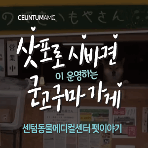  [동물뉴스]삿포로 시바견이 운영하는 군고구마 가게