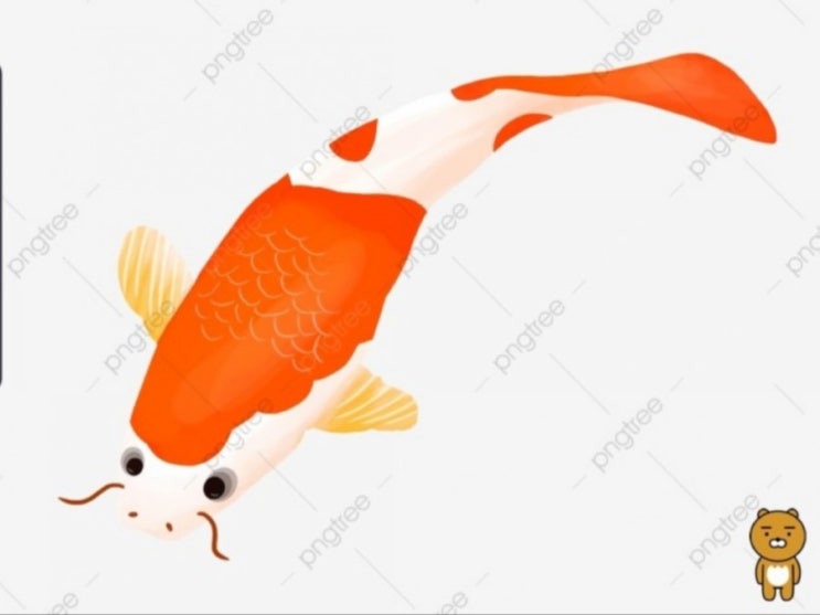  나노블럭 만드는 꿀팁이름모를 잉어