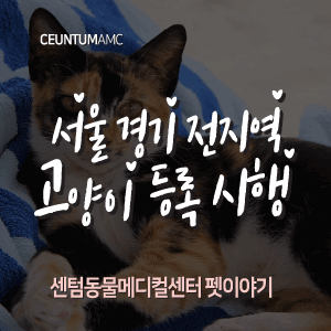 [동물뉴스]서울 경기 전지역 고양이 등록 시행 (부산분과전문동물병원, 365일연중무휴)
