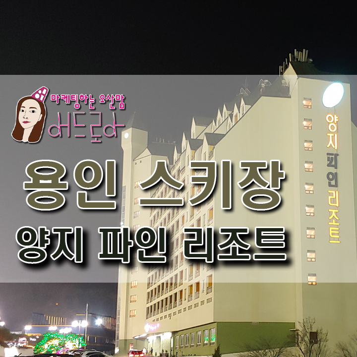  용인 양지 파인 리조트 스키장에서 보드 당일치기!
