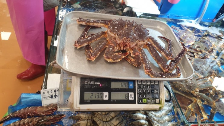  [노량진킹크랩] 노량진 수산시장 킹크랩 먹구왔어요!