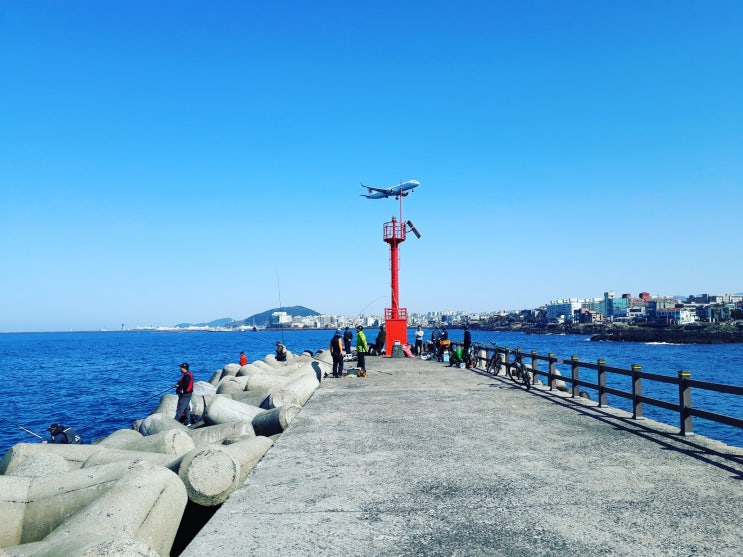  도시어부 나만 믿고 따라와 제주시 용담포구(방파제) 생활낚시 포인트와 가능한 장르 모음
