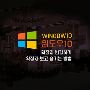  컴맹 탈출! 확장자 보이고 숨기는 방법과 확장자 변경하는 방법