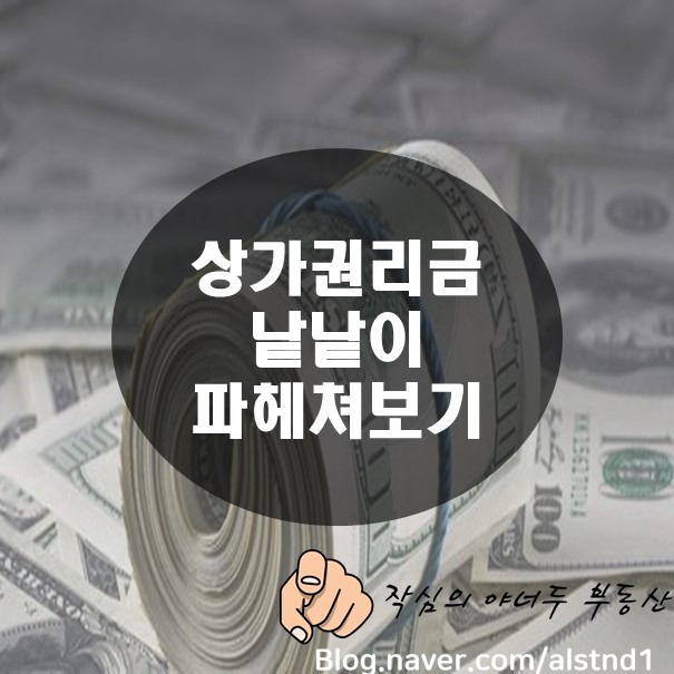  우리나라 상가권리금과 외국의 상가권리금 사례 / 재개발 재건축 사업에 편입되었을 때 상가권리금이 영업손실보상으로 보호되는지(상가임대차보호법 상 권리금) _By 야너두 부동산의 작심