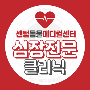  [심장 전문 클리닉] 강아지 고양이 심장질환 검진과 내과적 / 외과적 치료 및 관리 (부산 남구 연제구 수영구 심장병 동물병원 센텀동물메디컬센터)