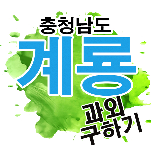  충남 계룡시 국어과외 금암동 두마면 고등학생 전문 계룡고 수학 영어과외 잘하는 쌤!