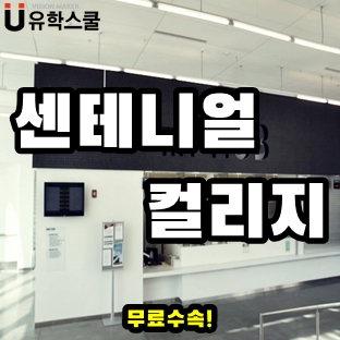  캐나다 센테니얼컬리지 전기공학과 졸업 후 얼마나 벌까?
