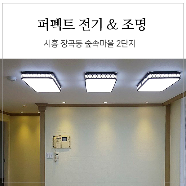  시흥 전기공사 _ 장곡동 숲속 마을 2단지 전체 조명 공사 (할로겐, 다운라이트, 엣지방 조명 설치)