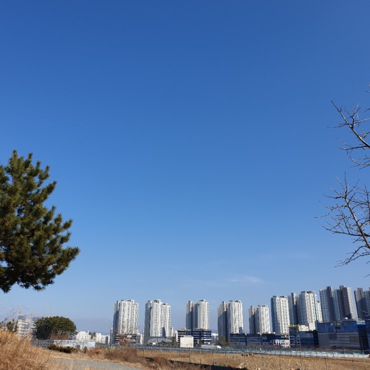  2020년 2월 14일 오늘 하루, 읽고 시작하는 좋은 글 10가지