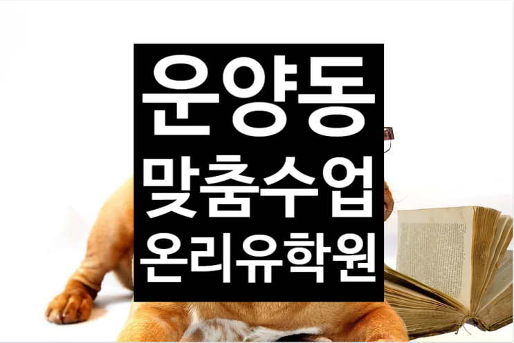  [김포 운양동 초중 전문 온리유 학원]개인별 맞춤수업 소수정예 과외식수업 운양동수학학원 운양동영어학원 중등내신전문 일대일맞춤수업 운양동소수정예 운양동초등전과목학원