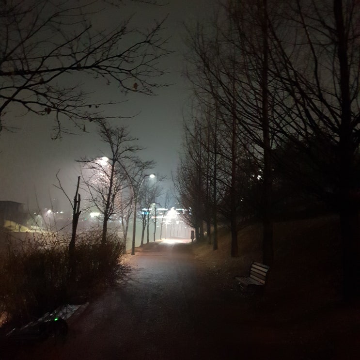 별내 강아지 산책. 역시 우리는 저녁산책. 공유와 이동욱이 나올것 같은 공원 별내 강아지 산책. 역시 우리는 저녁산책. 공유와 이동욱이 나올것 같은 공원