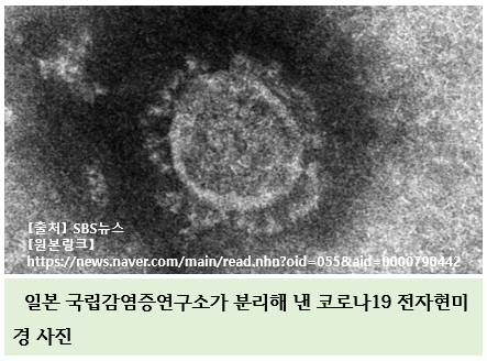  바이러스 세균 차이 인도 감염자 단 3명에서 확인