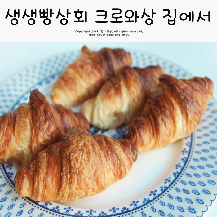 생생빵상회 전참시 홍현희 빵 크로와상 냉동생지 겉바속촉?!