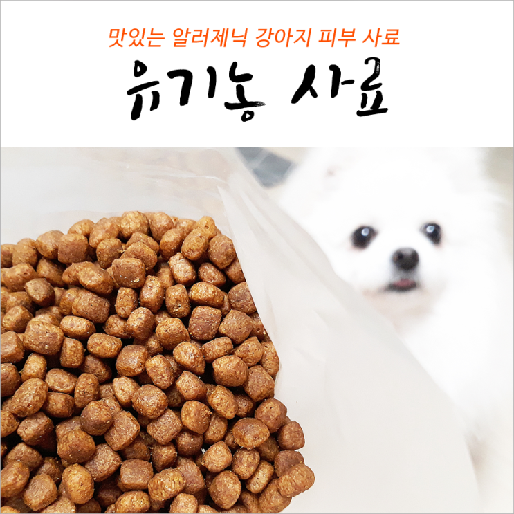 강아지 유기농 피부 사료 맛있짜나