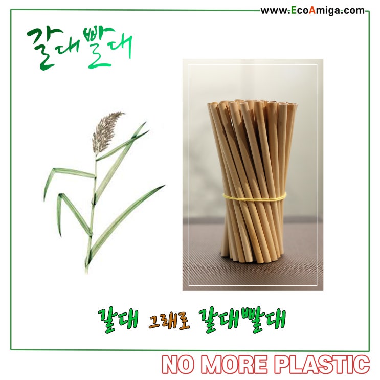  에코아미가 갈대빨대